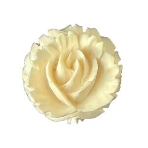 1970s Danecraft 1/20 12K GF Carved Cream Celluloid Blooming Flower Pin Brooch